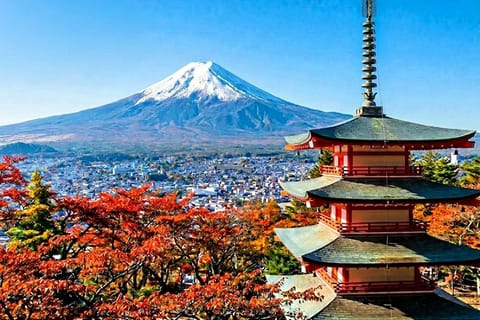Tokyo: Mt. Fuji 5th Station & Lake Kawaguchi Private Tour - Image 2