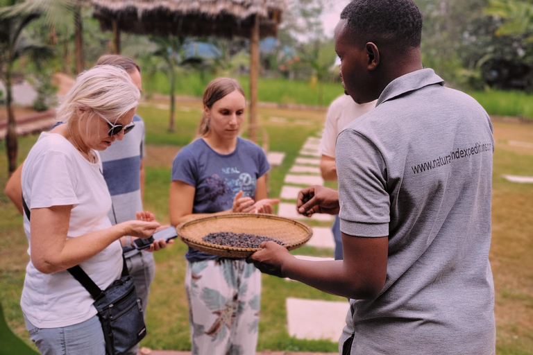 Arusha Wasserfall, Dorfspaziergang &amp;/oder Kaffee Tour