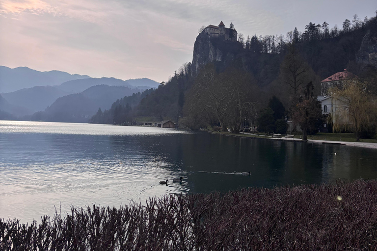 Bled: Lake Bled Guided Walking Tour with Cream Cake