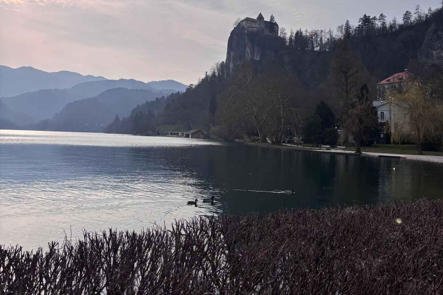 Bled: Lake Bled Guided Walking Tour with Cream Cake