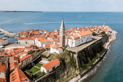 Ljubljana: Postojna Cave, Castle & Coast Private Trip