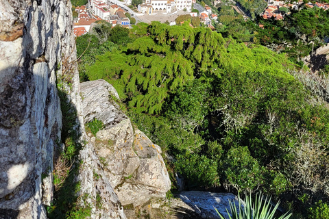 Sintra: Private und anpassbare TourSintra Halbtagestour (5h)