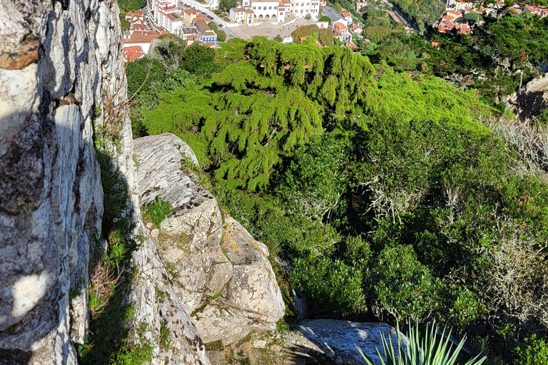 Sintra: Privat och anpassningsbar rundturSintra halvdagstur (5h)