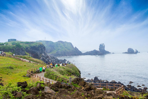 Jeju: Wycieczka z przewodnikiem prywatną taksówką - Czarter samochoduJeju Taxi Tour 8 godzin