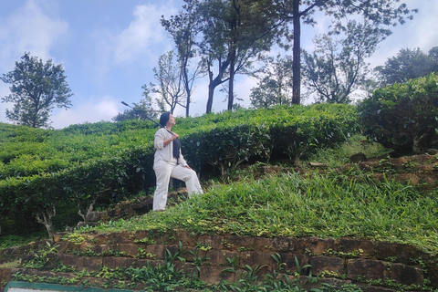From Kandy: Nuwara Eliya Private Day Trip with Tea Factory