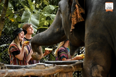 Phuket Experiencia de Alimentación Ética en el Santuario de la Selva de Elefantes