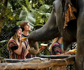 Phuket: Elephant Jungle Sanctuary Etisk fodringsoplevelse
