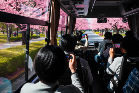 From Tokyo: Ghibli Park & Nagoya City Tour with Expert Guide