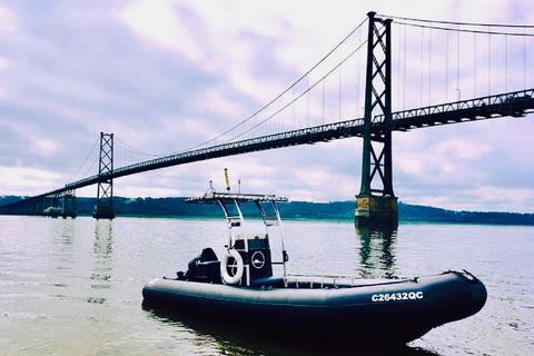 Guided cruise to discover Orleans Island and Quebec City