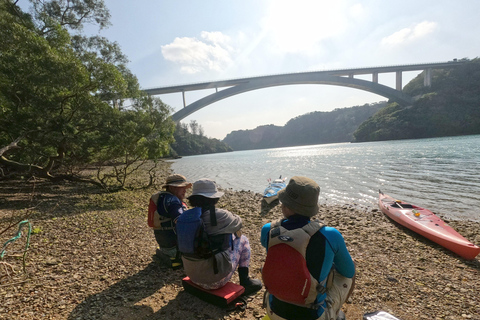 Okinawa: Private Kayak Mangrove or Reef with Native EnglishOkinawa: Private Kayak Tour with English-Speaking Guide