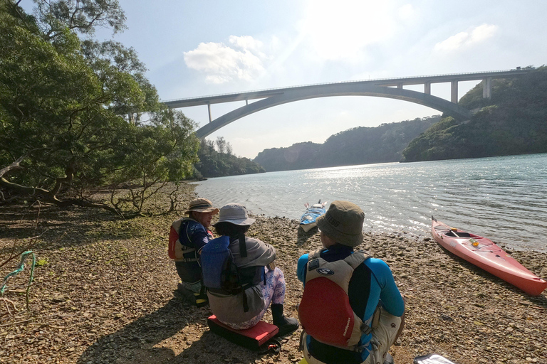 Okinawa: Private Kayak Mangrove or Reef with Native EnglishOkinawa: Private Kayak Tour with English-Speaking Guide