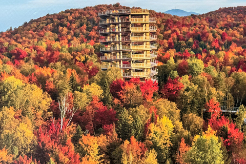 Mont-Tremblant: Private Day Trip with Treetop Walk & Gondola