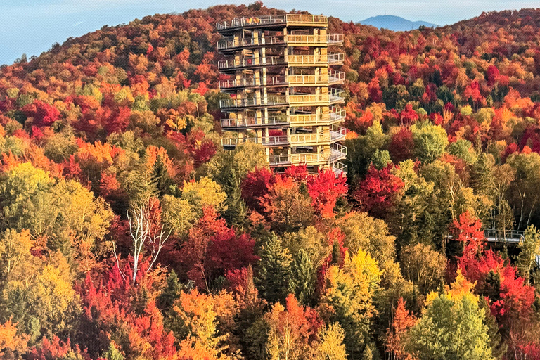 Mont-Tremblant: Private Day Trip with Treetop Walk & Gondola