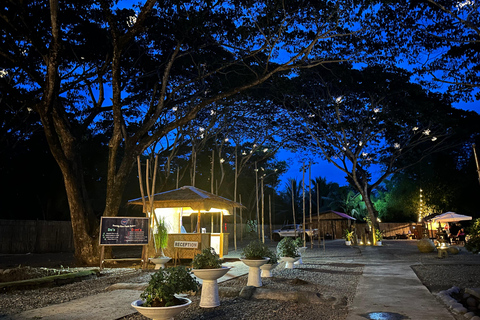 Puerto Princesa: Iwahig eldflugsskådning och flodkryssningEldflugetur med middag