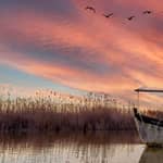 Da Valencia: Parco dell'Albufera con tour in barca al tramonto
