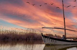 Von Valencia: Naturpark Albufera mit Bootstour bei Sonnenuntergang