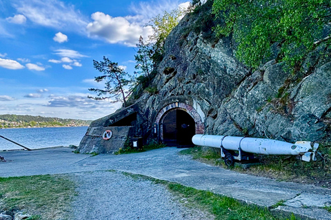 From Oslo: Drøbak and Oscarsborg Fortress Day Trip