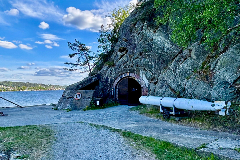 From Oslo: Drøbak and Oscarsborg Fortress Day Trip
