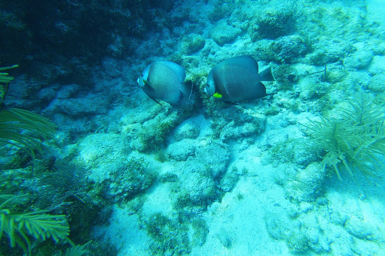 Southpoint Divers: Afternoon Reef Dive Trip