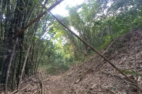 Minca: Fairtrade, coffee & cocoa, organic farm - ES/EN/DE Sunset tour