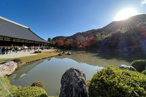 نارا وأراشيياما: جولة بالحافلة لمشاهدة الغزلان والخيزران والمعابدمن كيوتو