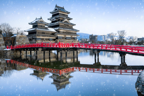 From Osaka: 5-Day Japan Highlights Tour to Tokyo