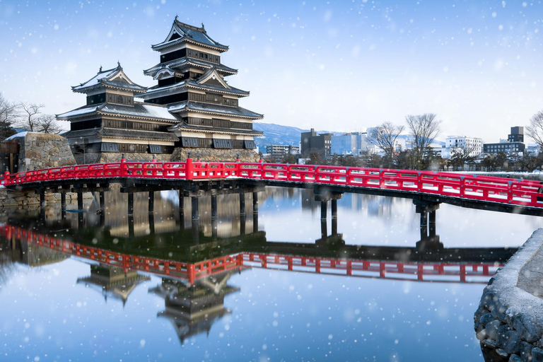 From Osaka: 5-Day Japan Highlights Tour to Tokyo