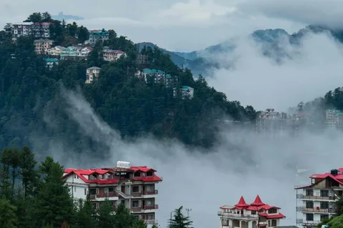 Shimla: Full-Day Private Tour with Kufri Hill Station
