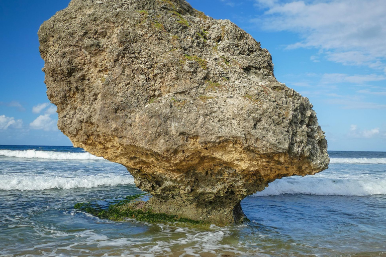 Sweet Life Island Tours