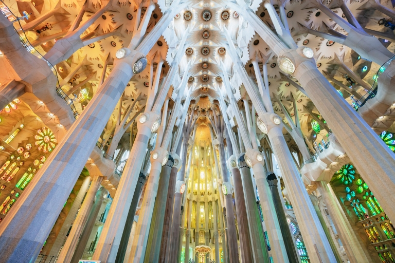 Sagrada Familia: ticket y tour guiado sin cola en taquillaTour grupal en francés