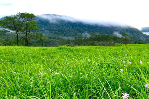 PhnomPenh: 2 giorni di trekking e campeggio sul monte Knang Phsar