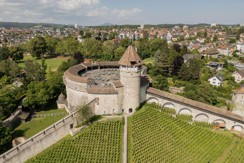 من زيورخ: جولة لنصف يوم في شلالات الراين وشافهاوزن