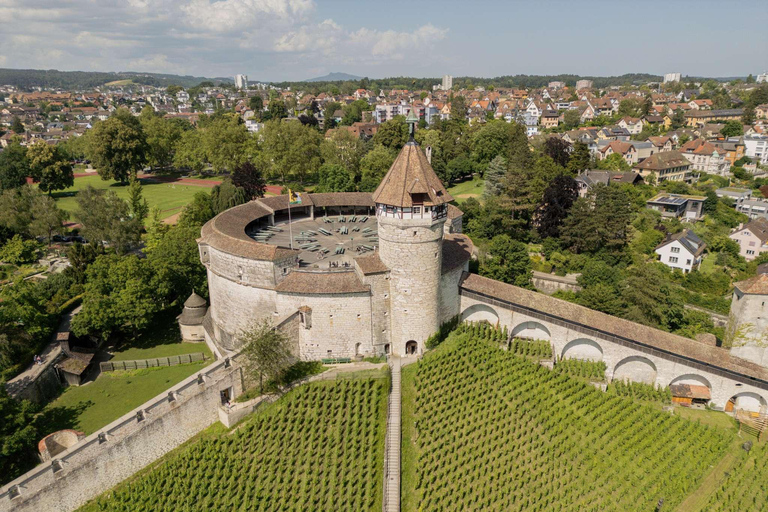 من زيورخ: جولة لنصف يوم في شلالات الراين وشافهاوزن