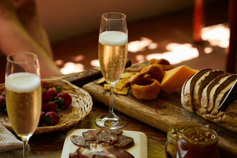Alicante: Private Sunset Countryside Wine Tasting + Transfer