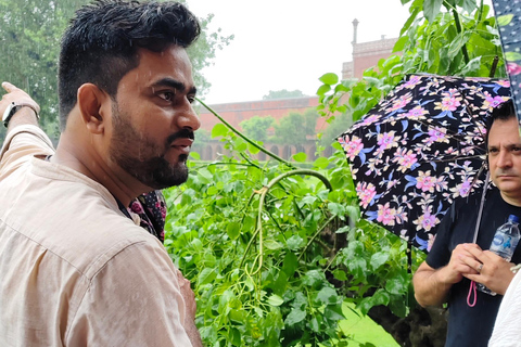 From Jaipur: Taj Mahal, Agra Fort & Baby Taj Private Tour Private Tour With Guide Driver Private Ac Car and Entry Fees