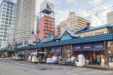 Sapporo: Private Full Day City and Cultural Tour with Guide