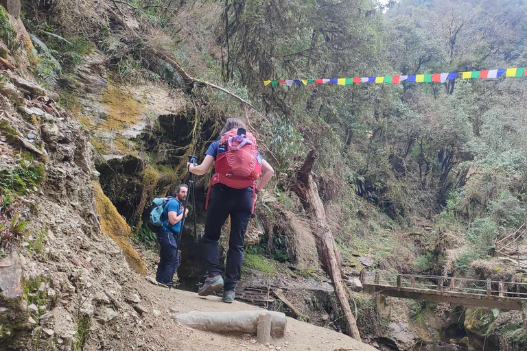 Ghorepani Poon Hill Trek - 4 Days