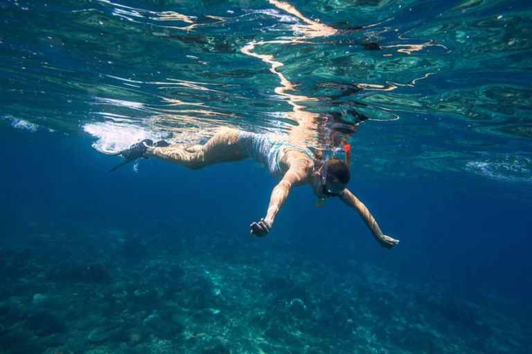 Caleta de Fuste: experiencia en catamaránOpción estándar