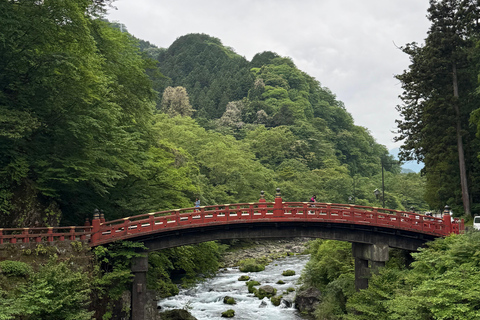 Tokyo: Nikko Private Day Tour with Pickup
