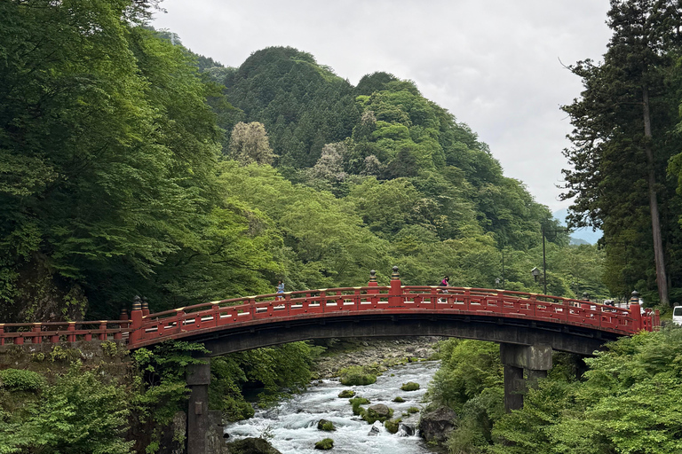 Tokyo: Nikko Private Day Tour with Pickup