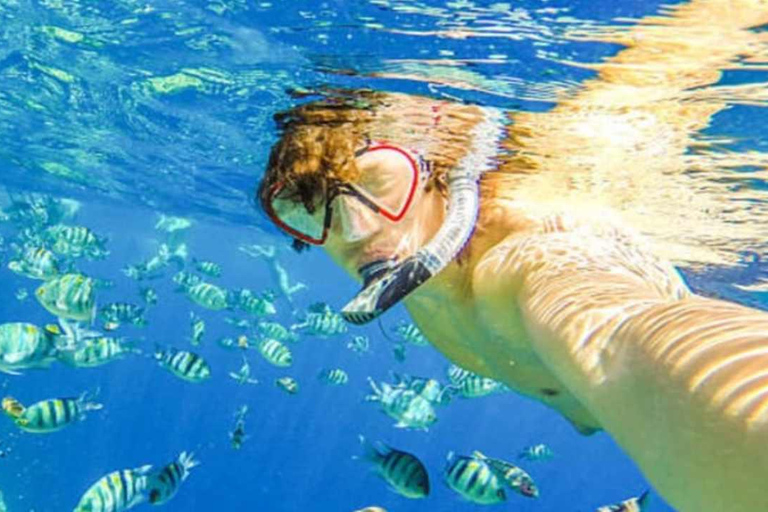 Puerto Plata: Sosúa Bay Snorkeling Tour with Transfers