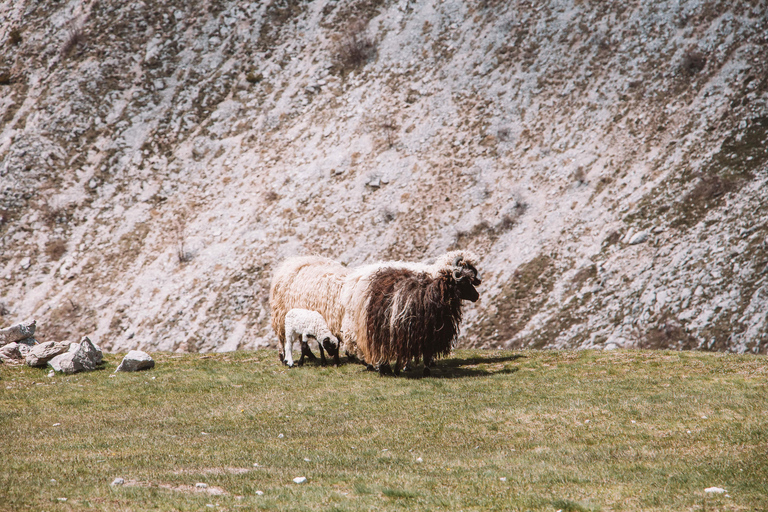 The loneliest village in Bosnia | Hike to Lukomir (from Sarajevo)