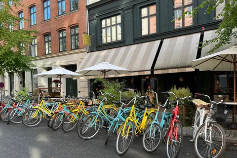 Copenhague : Visite guidée à vélo des points forts de la ville