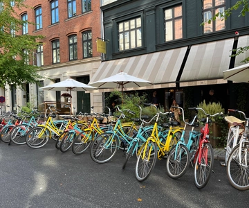 Copenhaga: City Highlights Tour guiado na cidade em bicicleta