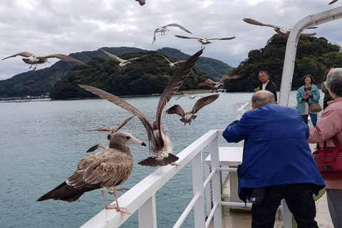 From Osaka: Amanohashidate, Ine Bay, and Miyama Day Trip From Osaka: Amanohashidate, Ine Bay, and Miyama Day Trip