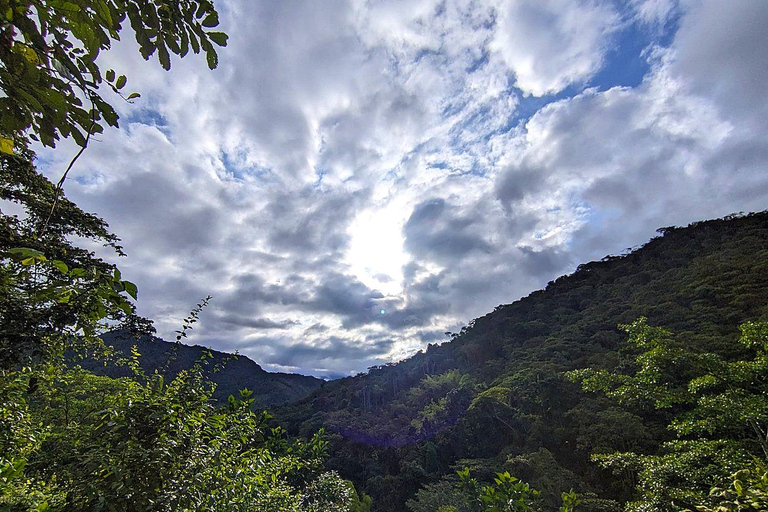 Cali: Pacific Jungle Trek to Hidden Pools & La Sirena Falls
