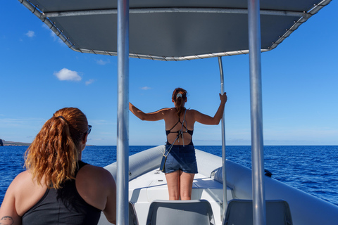 Menorca: Private North Coast Boat Tour from Addaia