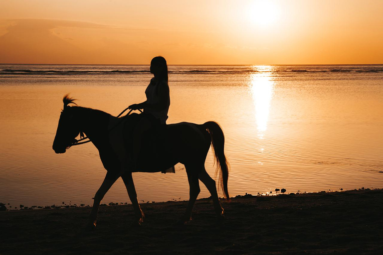 Oman-Salalah: Sunset Beach Horseback Ride with Hotel Pickup