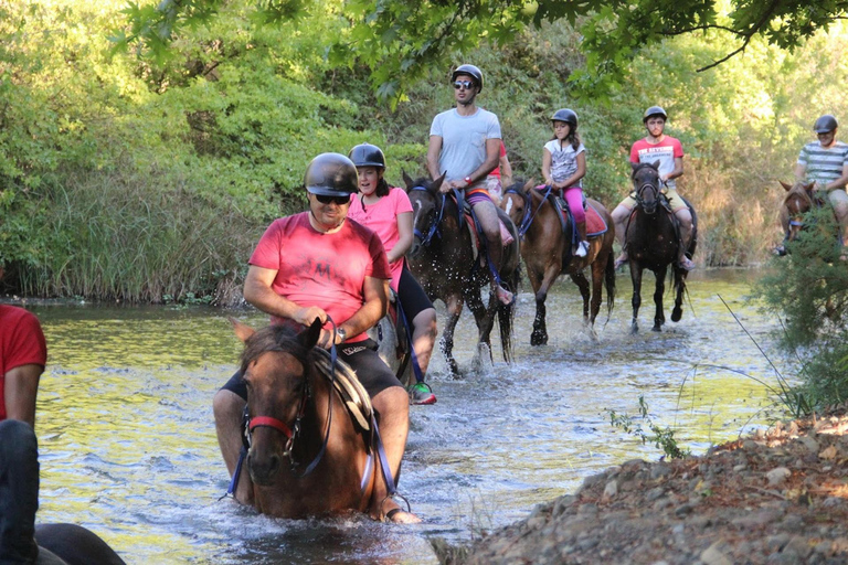 Marmaris: Guided Horseback Riding Tour with Hotel Pickup Horseback Riding Experience with Hotel Transfers