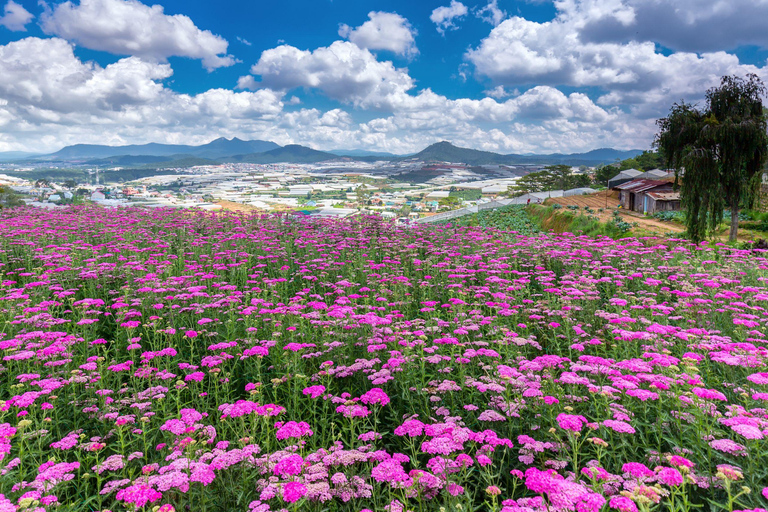 Découvrez le meilleur de la campagne de Dalat (voiture privée)